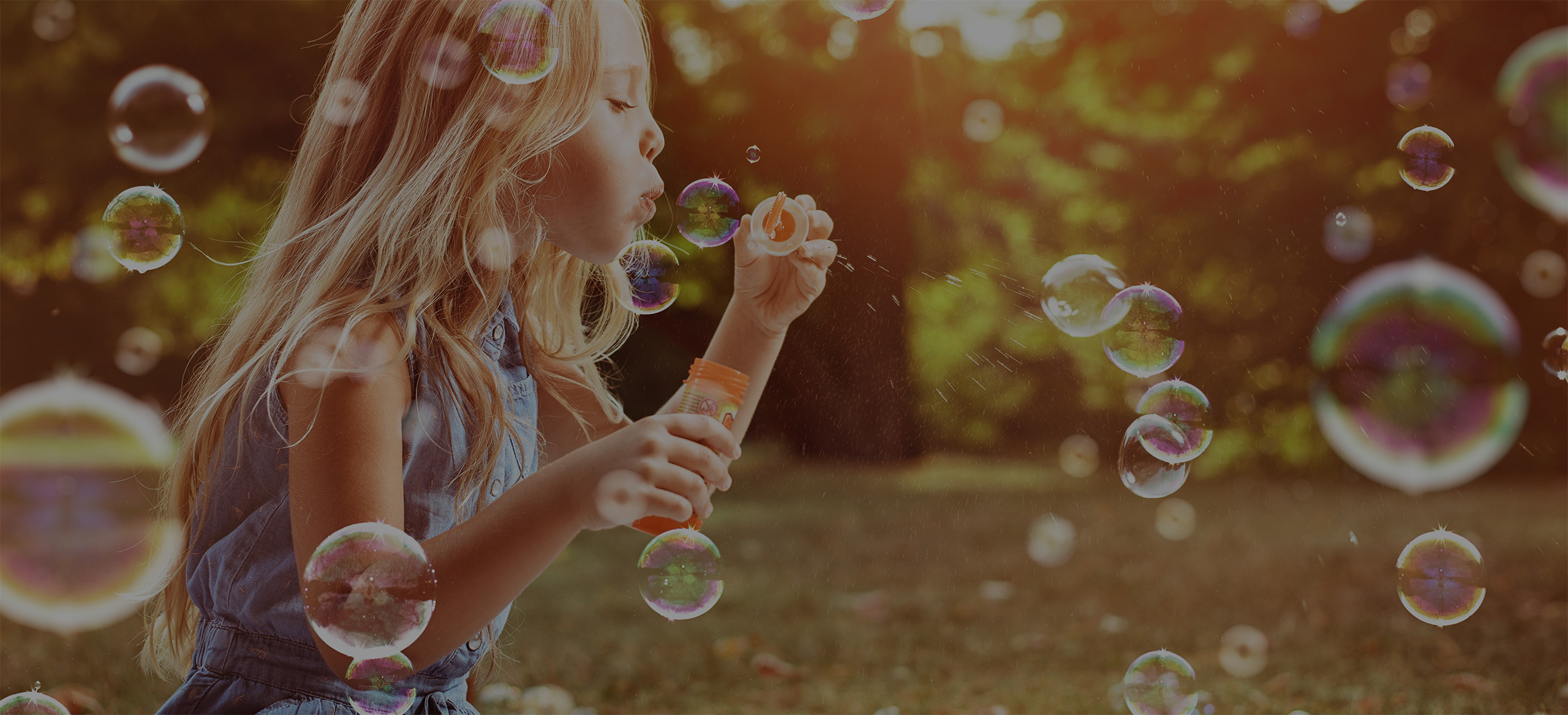 header-img-1